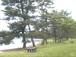 ��t���`���ŉj�����Ȃ�