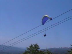 ���Ƃ��g�b�v�A�E�g�ł�����