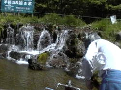 �r���R�N�����̗�