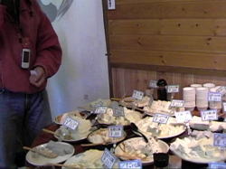 �R�O��ނ̓����E�E���H���R