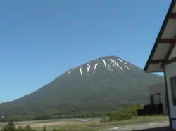 �I�V���C����A���̗r���R�����Ȃ������