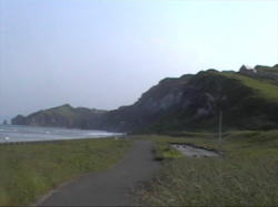 �C�^���L�l���b�W�\�A�����O�̃G���A