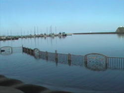 �C�ɐZ����t�F���X�͒�����