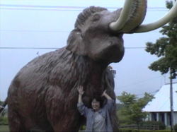 �i�E�}����