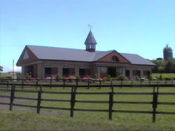 ���h�ȉX��