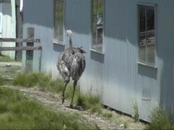 �_�`���E�������Ă��鏊��������