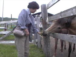 �l�������n�����ł�����