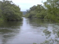 ����Ȑ삪��D�����B��݂������̂�����