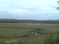 ���H�����̐�