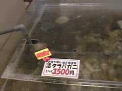 ����͌��邾��