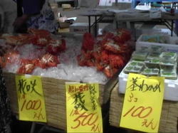 �C�Y��������I