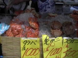 ���ɂ�������I