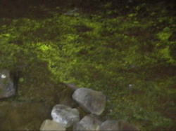 �����͗ǂ������Ă���