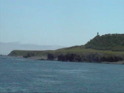 �m��������[���ɗ��܂���