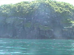 �C�̐F��������