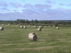 �������q��