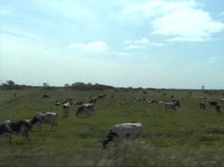 ��R�̋�����