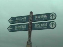 �P���ƃ����[�̖؂̈ē�