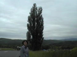 �|�v��������