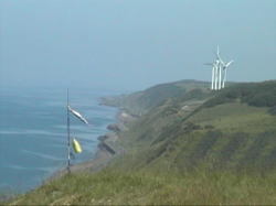 �E�ɂP�O�j��