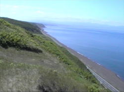 ���ɂP�T�j���H