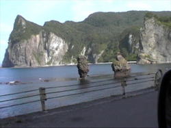 ��₪����