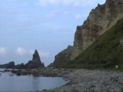 �R�����ꂢ