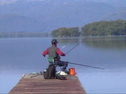 ��������L�����v��Œނ�