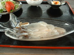 �������������C�J�h��