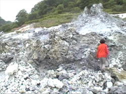 �E���i�Ȍi�ς͑���