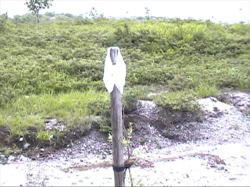 �_�Y���j���ނ�