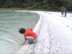 �����g�������