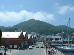 ���ٍ`�̐ԃ����K�̑q�ɌQ