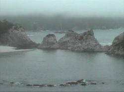 �V�C�ǂ��Ȃ��̂Ŏc�O