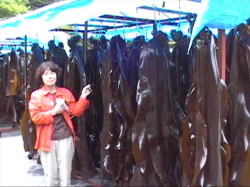 ���z�̗{�B�ׂ͖���̂��ȁH