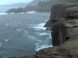 �V�O���̒f�R������