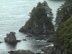 �r���[�|�C���g