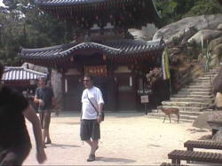 �s����Γ��ׂ̗肪���l�̔���