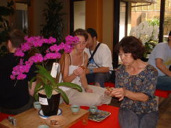 ���݂��\���̂��X�i�������j