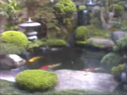 �������̒뉀