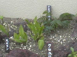 �N������