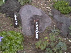 �~���}�I�_�}�L