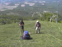 ���C���`�F�b�N��`���Ă������