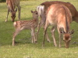 ���؎R����������