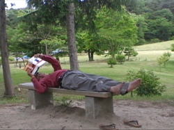 �u���܂ʑ��z�v���Q���ǂ񂾂Ƃ���ŐQ�Ă��܂���