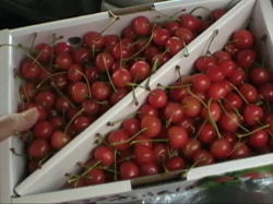 �R�`�Y��������