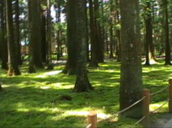 ���������Ƃ�������