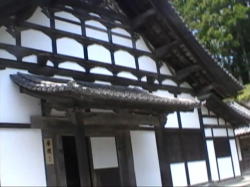 ���莛�̌ɗ��i����j