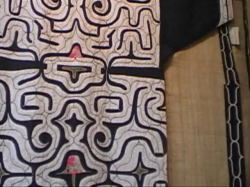 �I�q���E�i�j���ȁj�̖؂̔炩���钅��