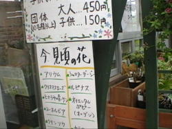 ������ȉԂ̏Љ�